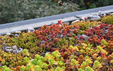 the cost of Osney green roof installation